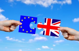 Are Brexit Fears Overblown?