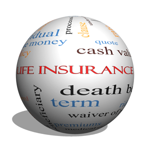 Test Your Life Insurance Knowledge