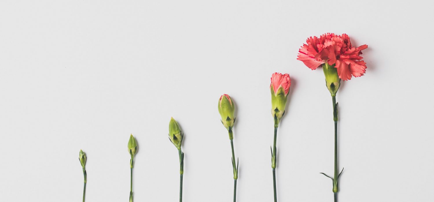 Impact and ESG Investing Progression of a flower bud blooming