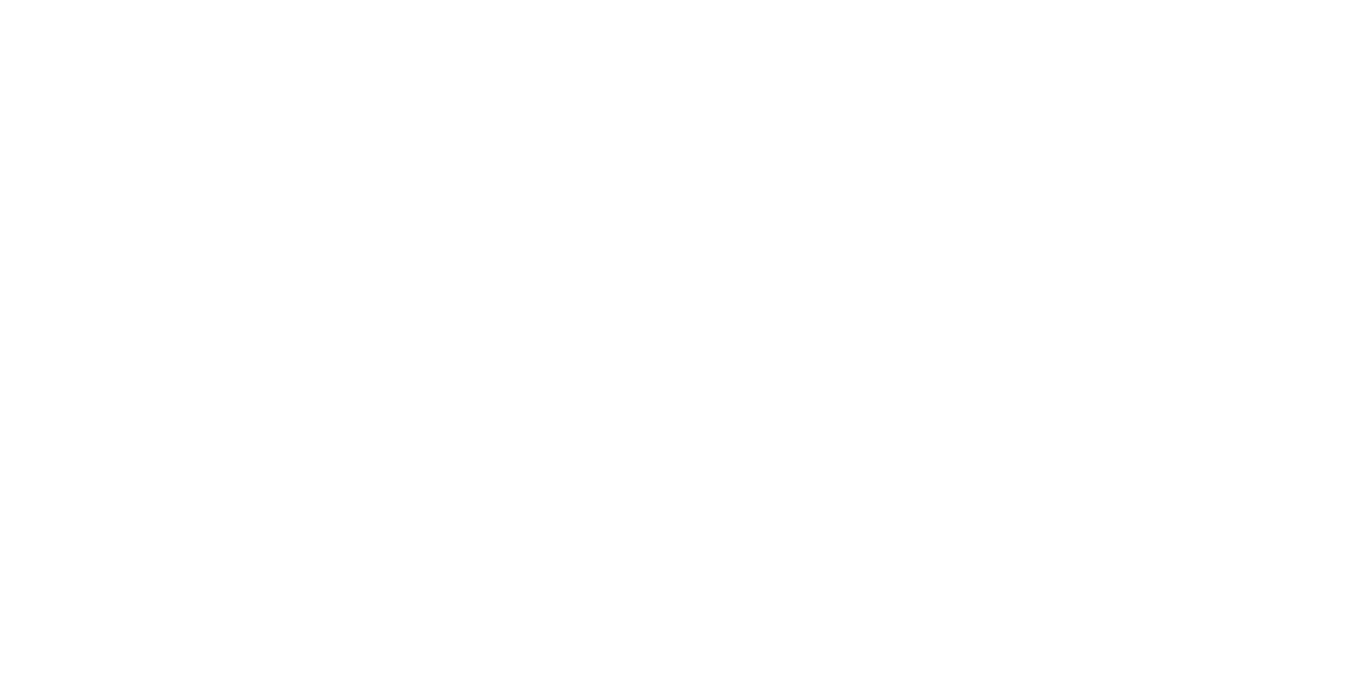 rebel logo white