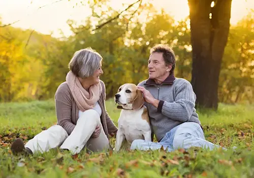 Leave as Little to Chance as Possible